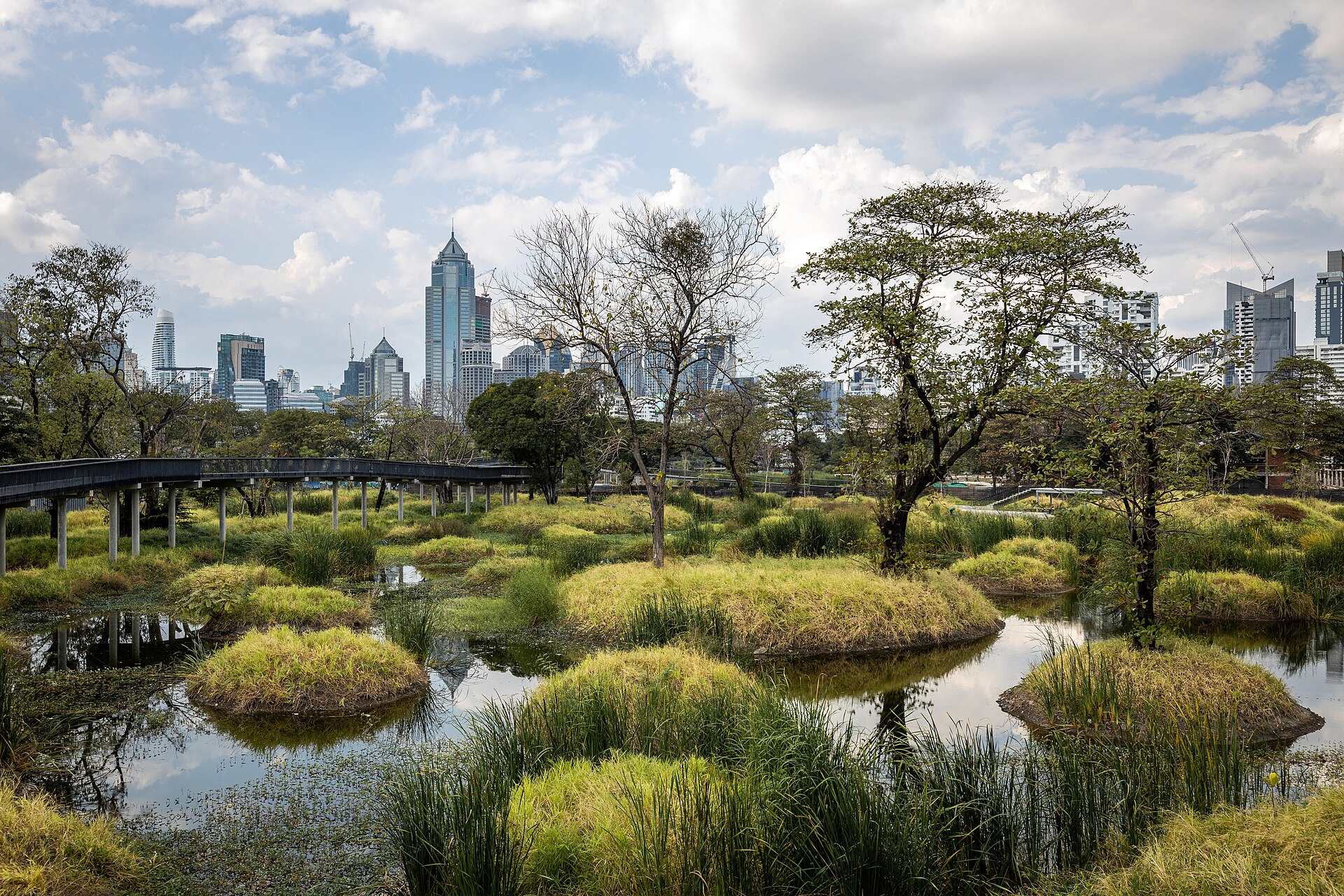 Wetlands and elevated paths in Benjakitti Forest Park, Bangkok