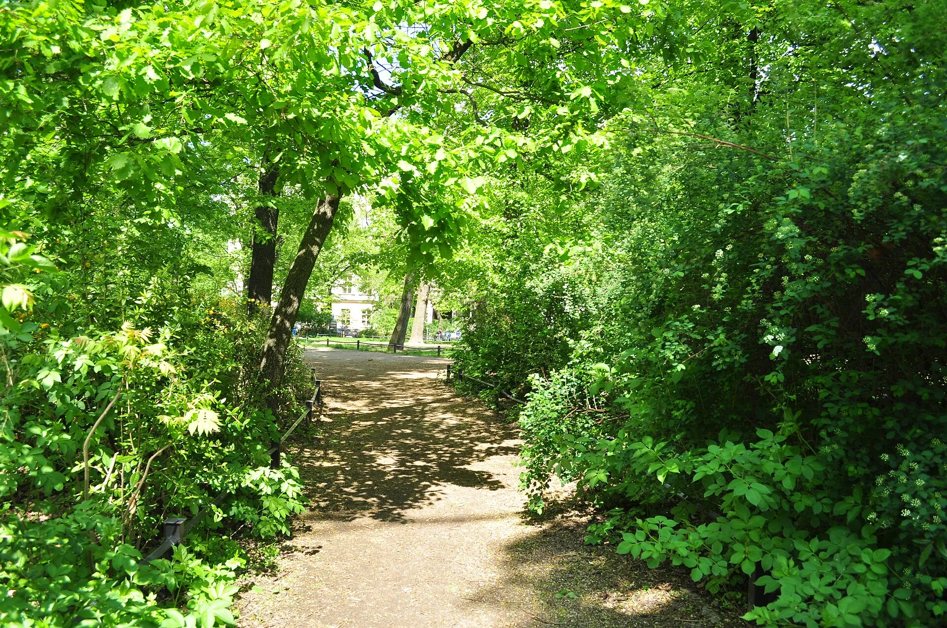 Kollwitzplatz in Berlin’s Prenzlauer Berg neighborhood