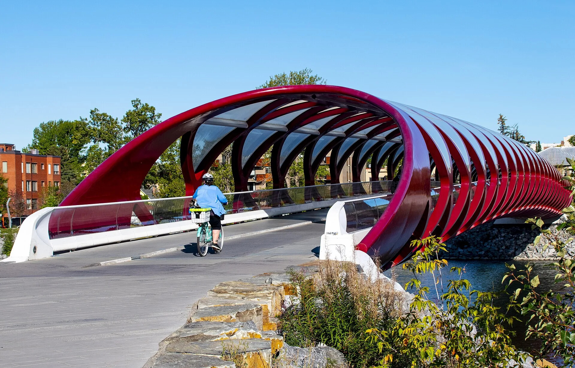 A cyclist at Calgary’s distinctive red Peace Bridge over the Bow River