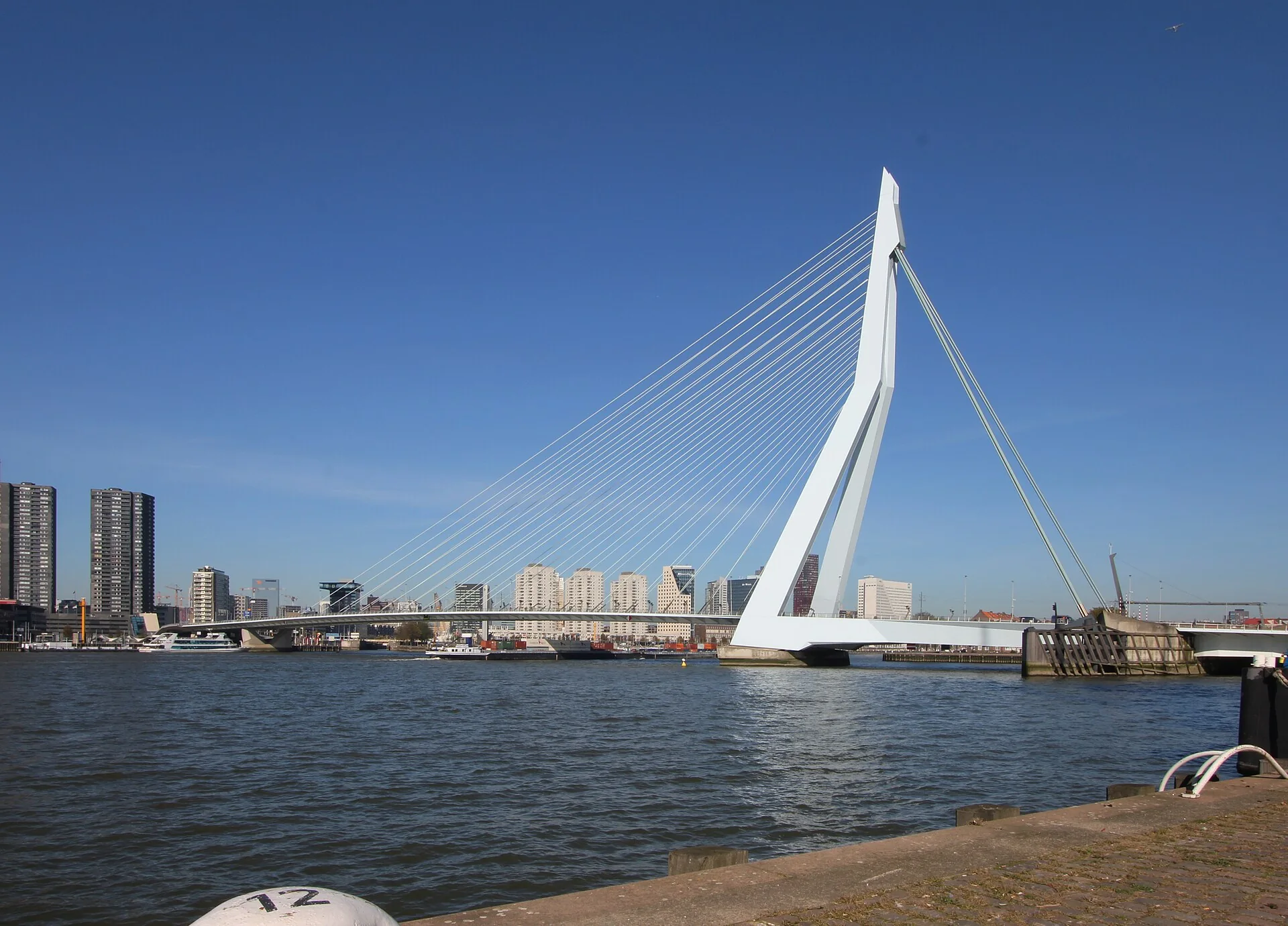 The Erasmus Bridge and waterfront skyline in Rotterdam