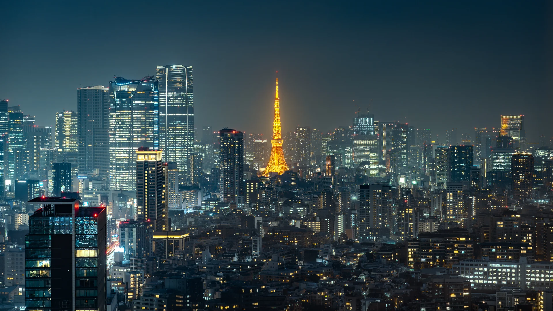Tokyo Tower illuminated above the Tokyo skyline at blue hour.